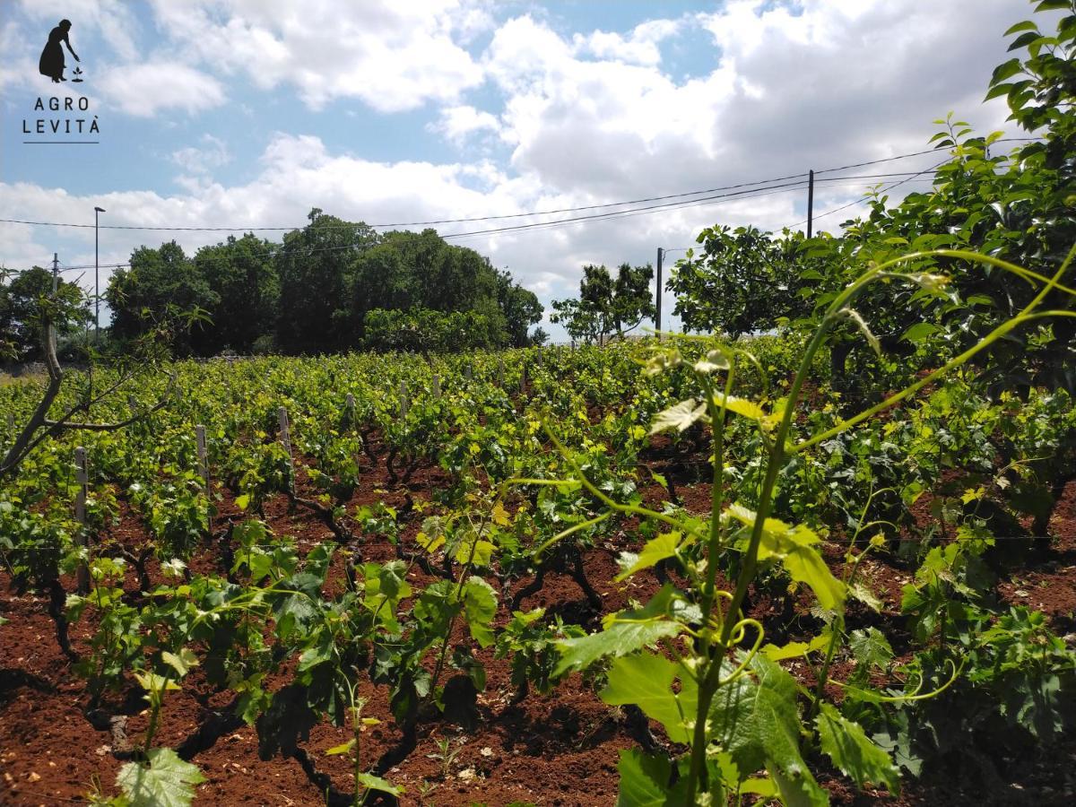 Agro Levita ロコロトンド エクステリア 写真